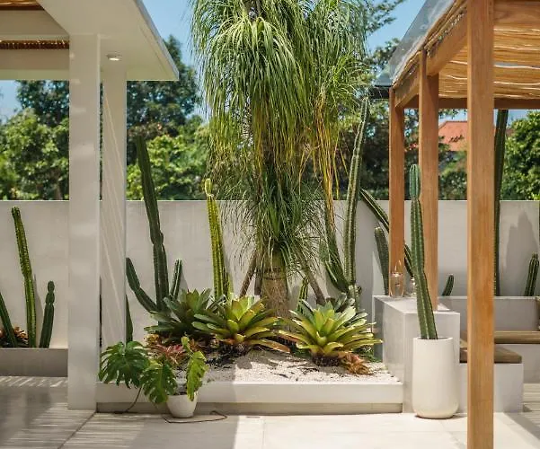 Villa Air - Brand New Stylish 2br In Pererenan Canggu (Bali)